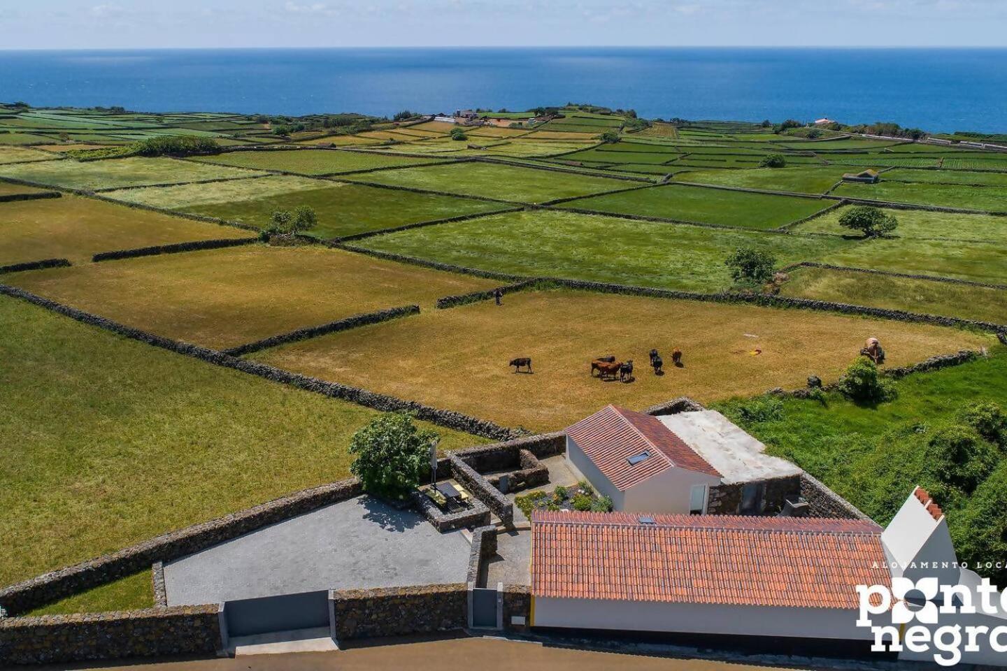Recanto Das 5 By Pontanegraazores Cinco Ribeiras Exteriör bild